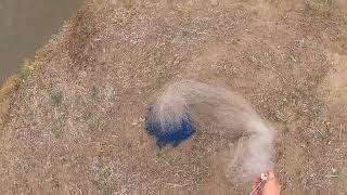 River Bait Hual For Catfish Candy