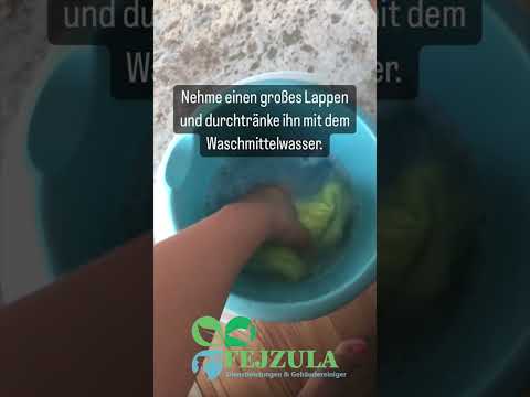 Sofa Reinigung Ganz einfach