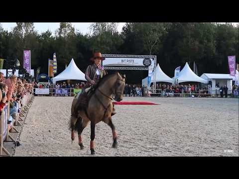 Haute Ecole & Toute Liberté Clémence Faivre Horse Event 2017