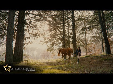 Diana Lima - Chegámos Ao Fim (Prod. Nuno Ribeiro)
