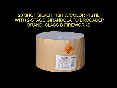 CB 5032 23 SHOT SILVER FISH WITH COLOR PISTIL WITH 2 STAGE GIRANDOLA TO BROCADE Class B Fireworks