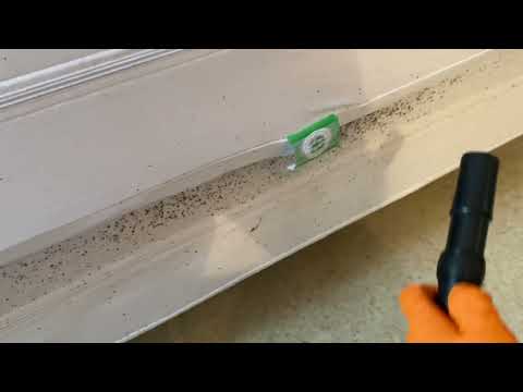 Tenants Abandon Apartment and Leave Bed Bugs Behind in Kendall Park, NJ