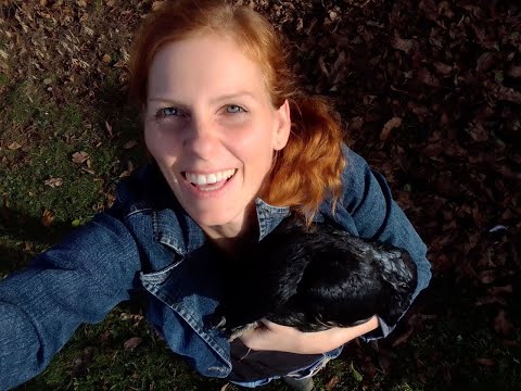 Fit durch den Herbst - bewährte Geheimnisse #Ursteirerhof #Hühnerhaltung im #Herbst