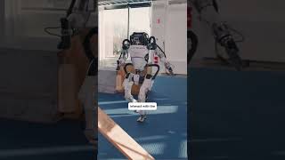 Large Language Models Are Just the Beginning of AI