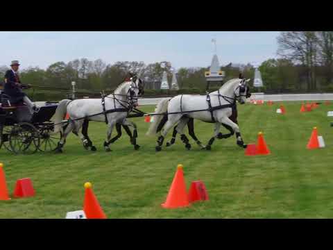 Fahrturnier Lähden 1.5.2022 (National)