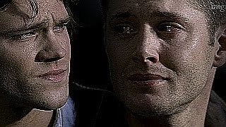 supernatural || continuem lutando, não importa o que custe.