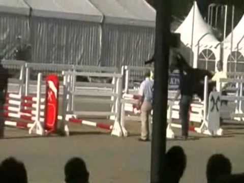 Pferdezucht Klumpe (www.pferdezucht-klumpe.de) - "Culcha Cundela" v. Cornet Obolensky