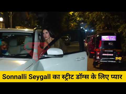 ANIMAL LOVER Sonnalli Seygall PLAYING AND FEEDING STREET DOGS WILL MELT YOUR HEART
