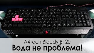 Bloody B120 - відео 1