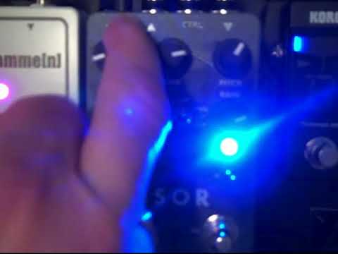 Red Panda Lab Tensor-rough run through