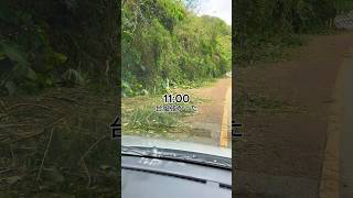 沖縄に住む自由人の1日　【Part35】#vlog #日常vlog #日常 #asmr #沖縄 #routinevlog #automobile #沖縄