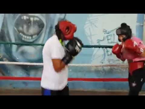 Esteche-Lopez version1