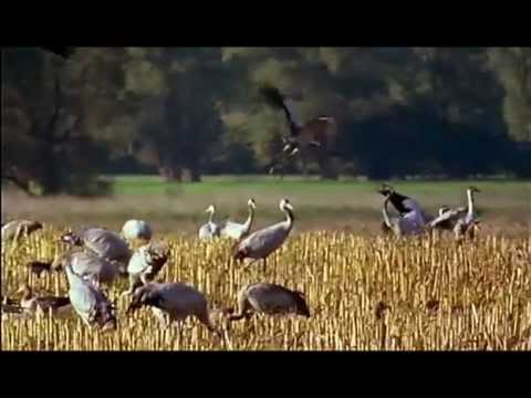 Ostpreussen - Der Zauber einer Landschaft im Jahresverlauf 2012