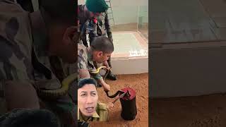 Download lagu Memotong kepala ular #ular #bahaya #shortvideo mp3 Download lagu Memotong kepala ular #ular #bahaya #shortvideo mp3