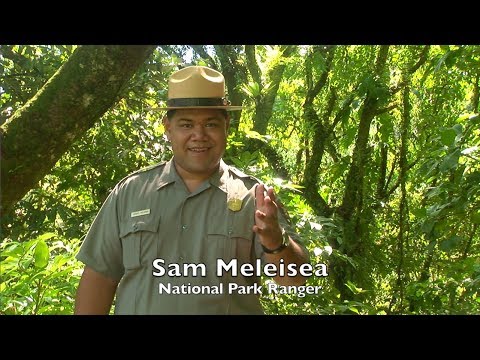 Go Wild at the National Park of American Samoa!