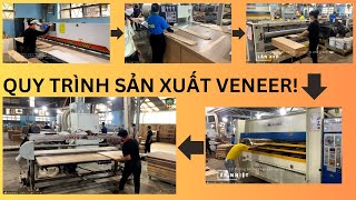 Quy trình sản xuất hàng phủ mặt veneer từ A đến Z