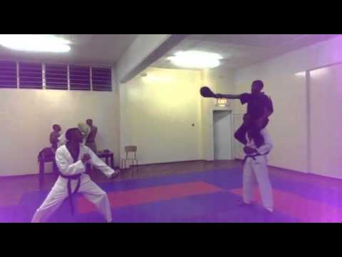 University of Zimbabwe taekwondo