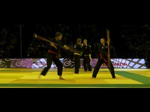 Notre école à L'accor Arena Paris Bercy au festival des arts martiaux  2022