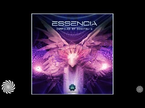 Space Vision - Groundmantra