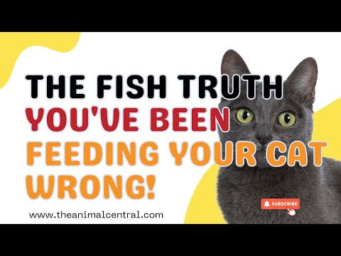 The Fish Truth: You've Been Feeding Your Cat Wrong!