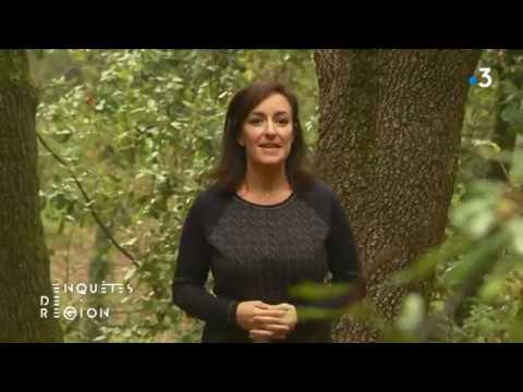 Enquêtes de Région PACA - Octobre 2018