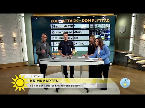 Knivhuggna polisens besvikelse över uppskjutna domen: "Jag väntar på ett avslut" - Nyhetsm