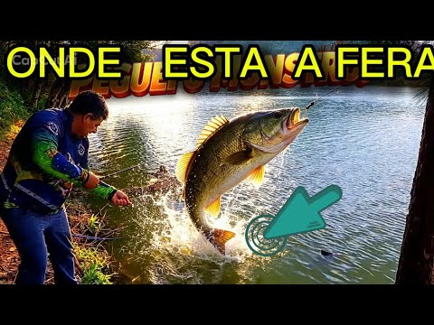 PEGUEI CARPA NO ALAGADO DO BONETE! 🎣 Santa Cecília – SC