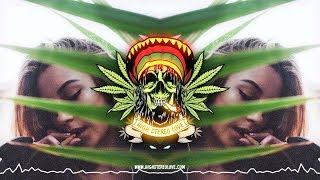 Tribal Seeds - Roots Party