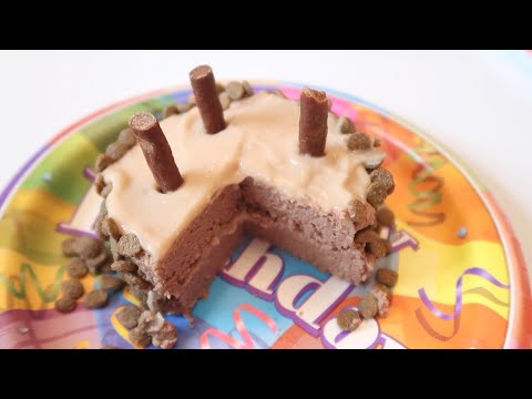 Cat Food Birthday Cake Recipe For Cats - Happy Birthday Splash and Simba!
