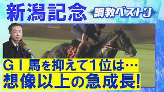 「良い頃の加速感戻ってきた！」ロデオドライブ、ダノンシーマ、ゾロアストロ・・・競馬エイト・高橋賢司トラックマンの調教解説＜新潟記念(ＧⅢ)＞