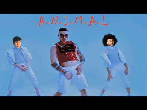 REACT/Reagindo a Davi Cíntori - ANIMAL 💉 [Official Video]