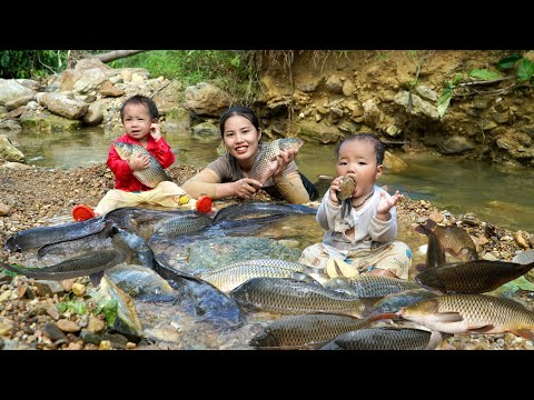 Encounter a huge school of fish - catch fish and trap fish on a rainy day - make smoked fish