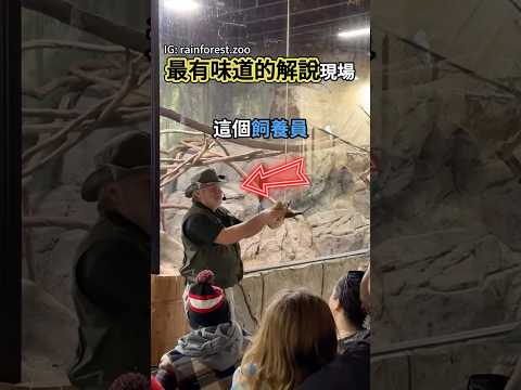 小猴子把動物園變成最有味道的解說現場🤣 #shorts #動物 #搞笑