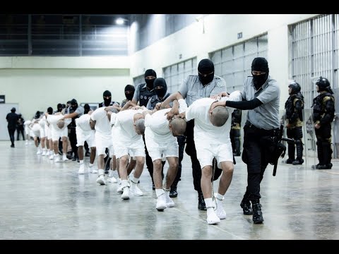 Will Trump Ship Americans To El Salvador Gulag?