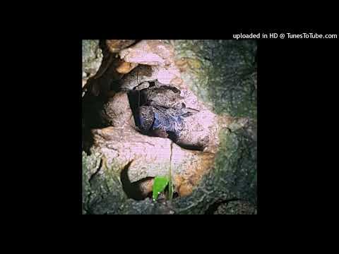 Island Trybe & Jbarz - Reaper In My Window