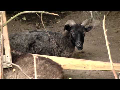 Rancho u Zapotocznego Łagów