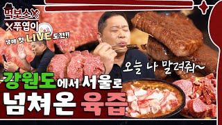 チコリセングイ