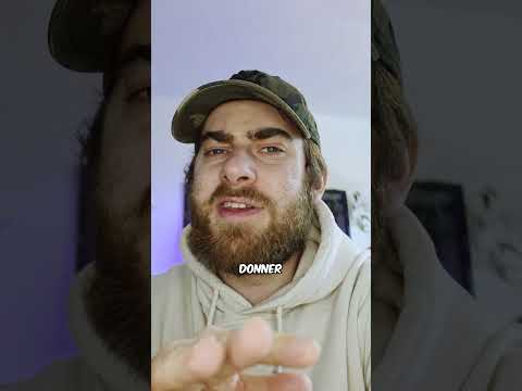 Le Secret Des CHATS ERRANTS En HIVER 🐈 #shorts