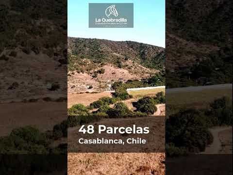Parcelación - La Quebradilla #casablanca #chile #parcelas #casablancachile #valparaiso #viñedos