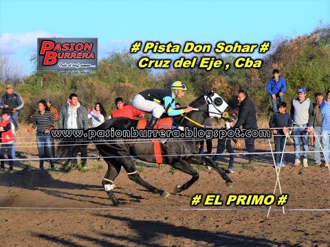 El Primo, Don Sohar (02-07-17)