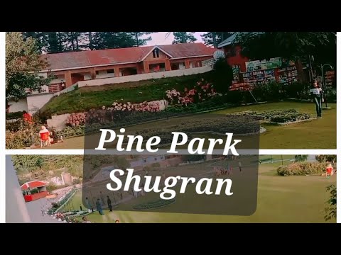 Shugran Pine Park ♥️ | Naran | PC Bhurban | Hooria Fatima vlogs #naturewalk #pineforest
