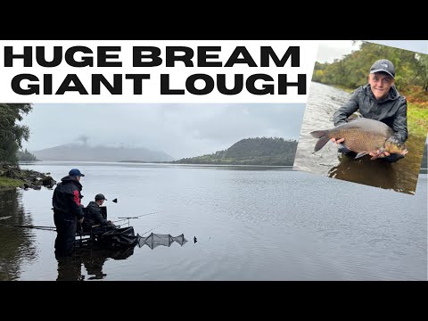 BIG BREAM from a HUGE LAKE