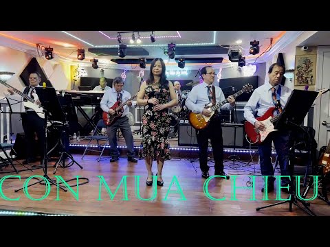 Cơn mưa chiều - Ái Vi