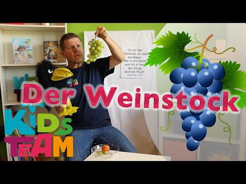 Der Weinstock