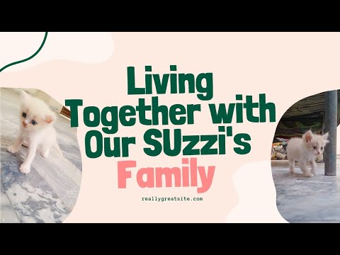 Aj kia khoob tang SUzzi NY😀😀😜😜