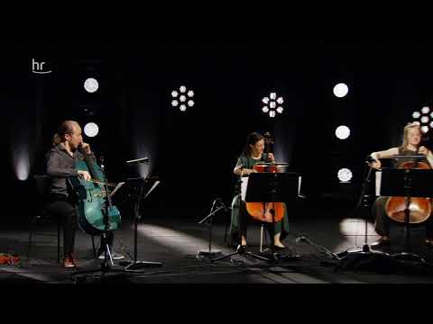 Gabriel Mientka: "Atlantic Jigpipe"