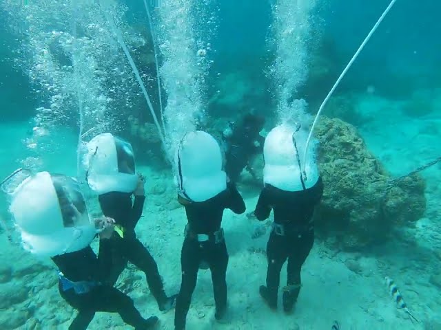 セブンオーシャンズクラブ(SEVEN OCEAN'S CLUB)