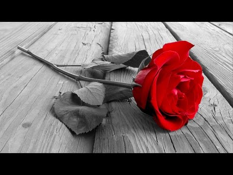 Tadeusz Nalepa - Chcę przytulić cię (voc. Marzena Korzonek)