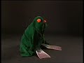 Sesame Street Show 2639 Fay Ray Dresses Up As Animals 1989