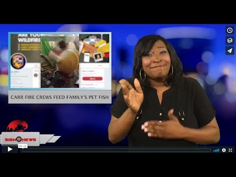 Carr fire crews feed family's pet fish (ASL - 8.12.18)